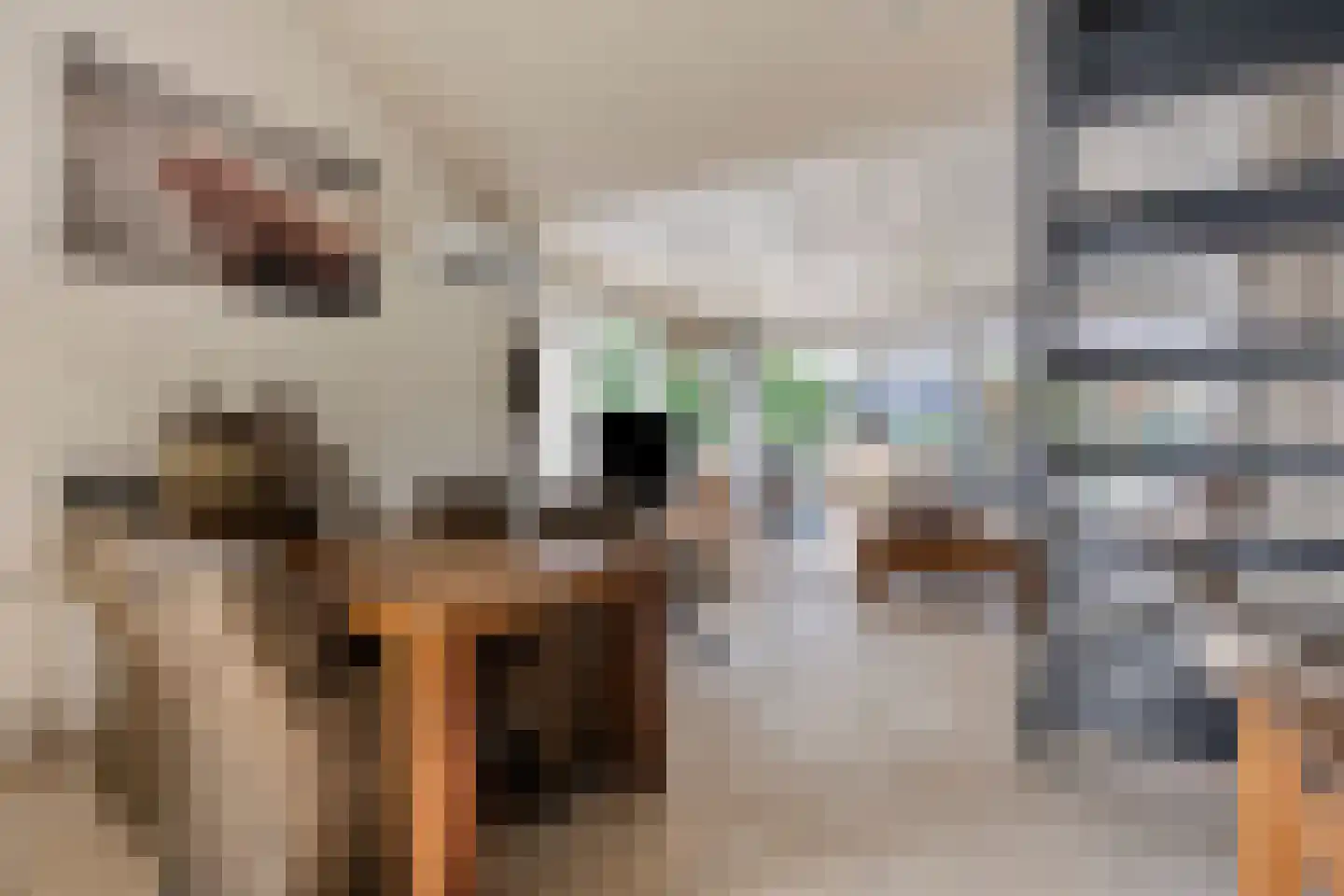 Reewoude 55 Herkenbosch thumbnail 11