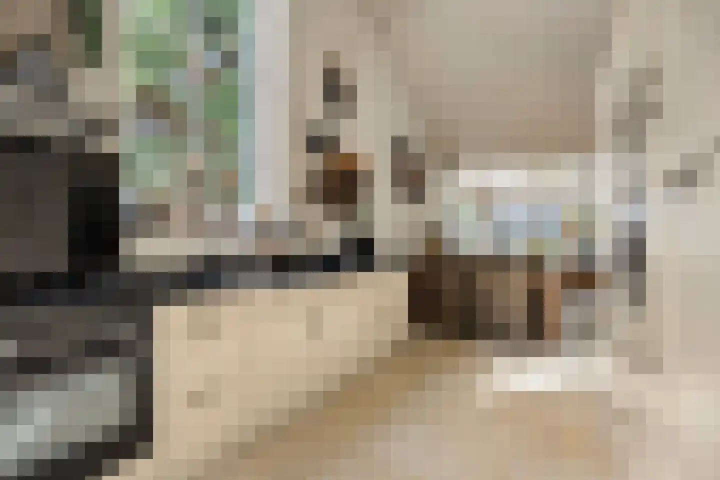 Reewoude 55 Herkenbosch thumbnail 13