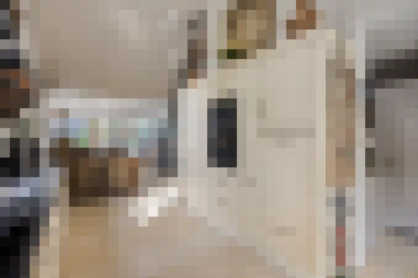 Reewoude 55 Herkenbosch thumbnail 14