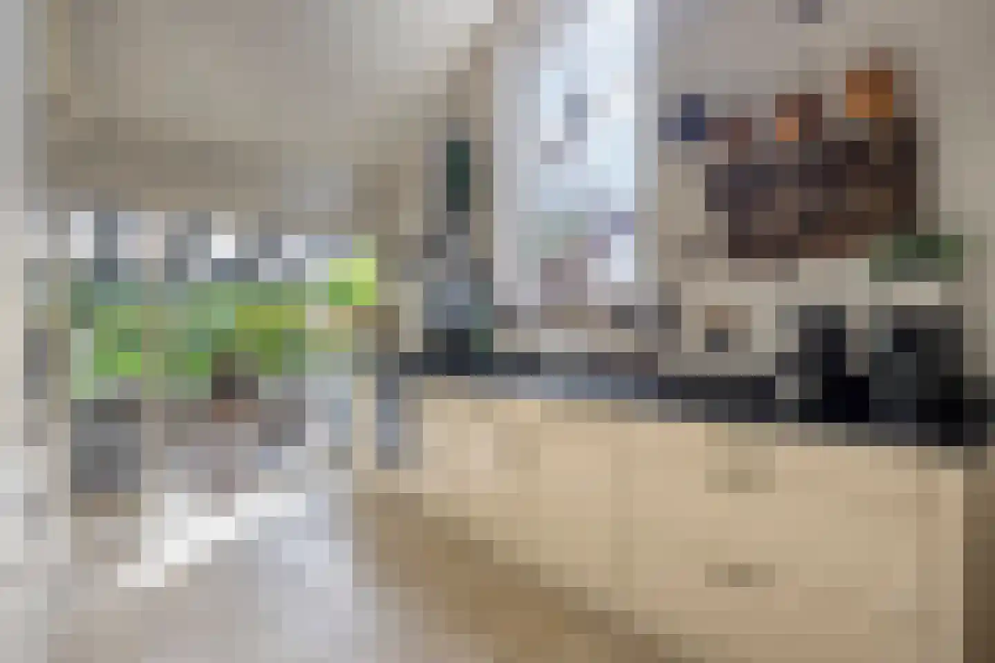 Reewoude 55 Herkenbosch thumbnail 15