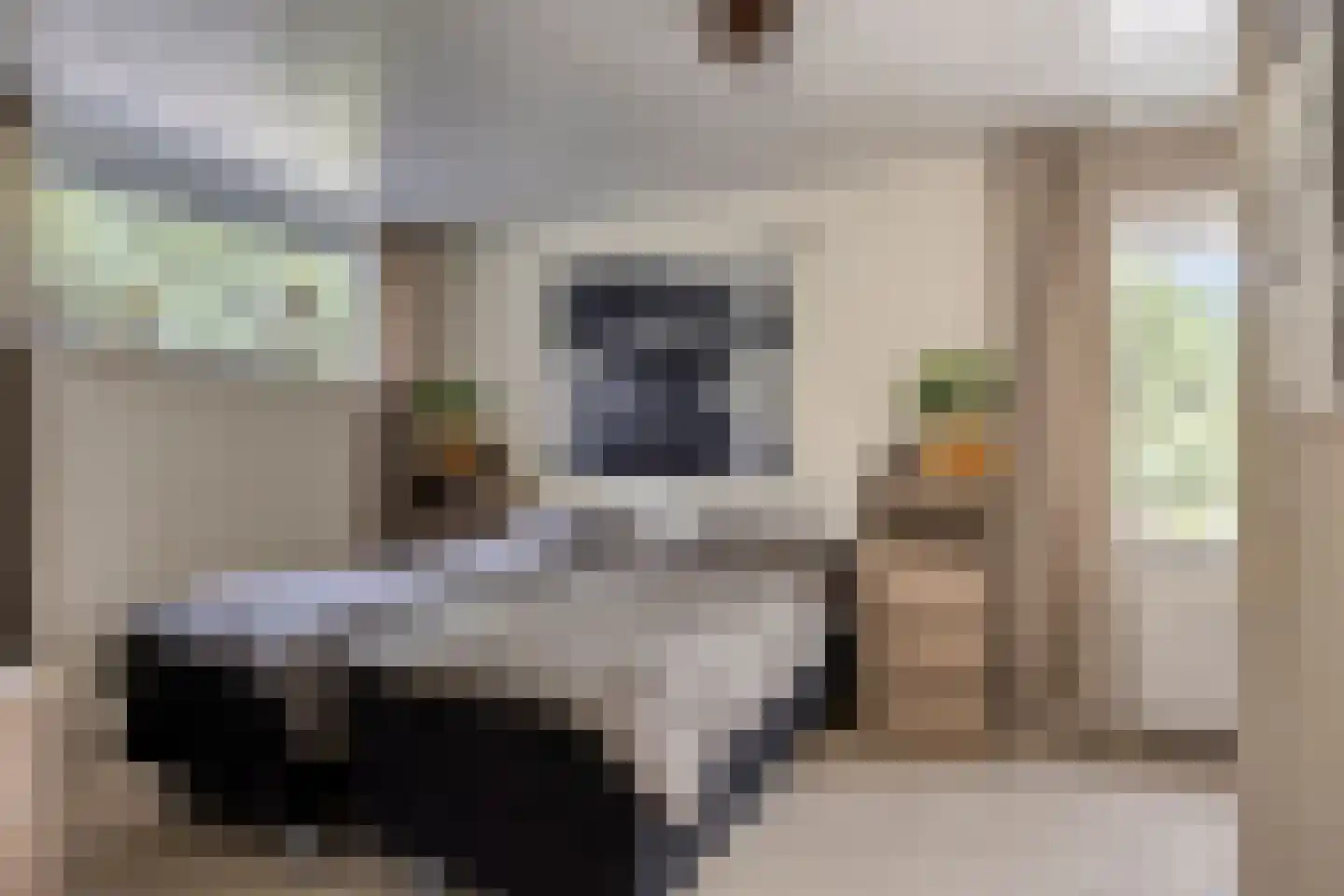 Reewoude 55 Herkenbosch thumbnail 18