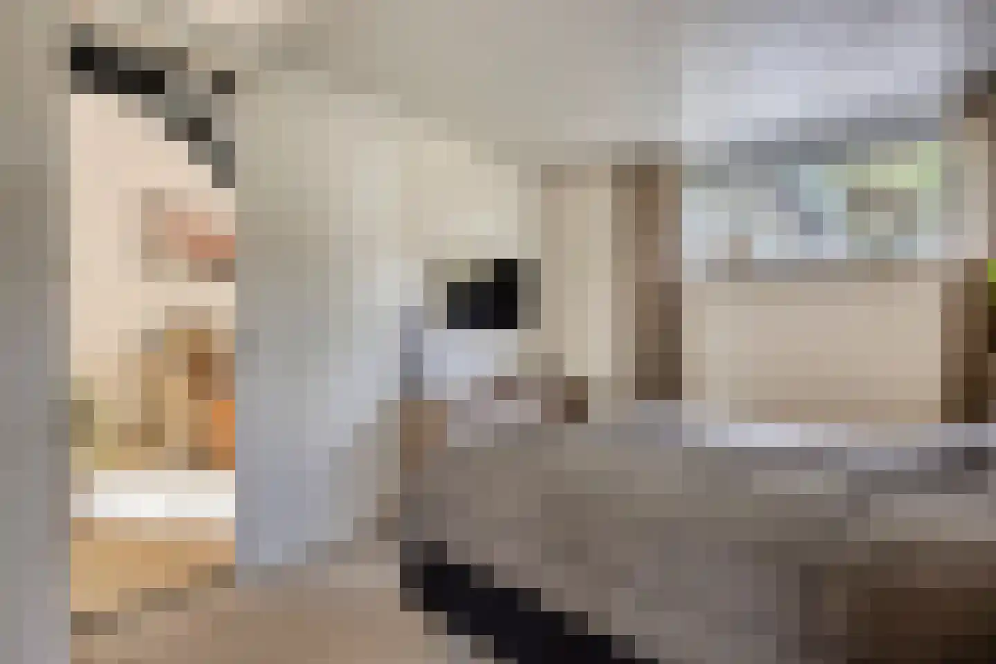 Reewoude 55 Herkenbosch thumbnail 19