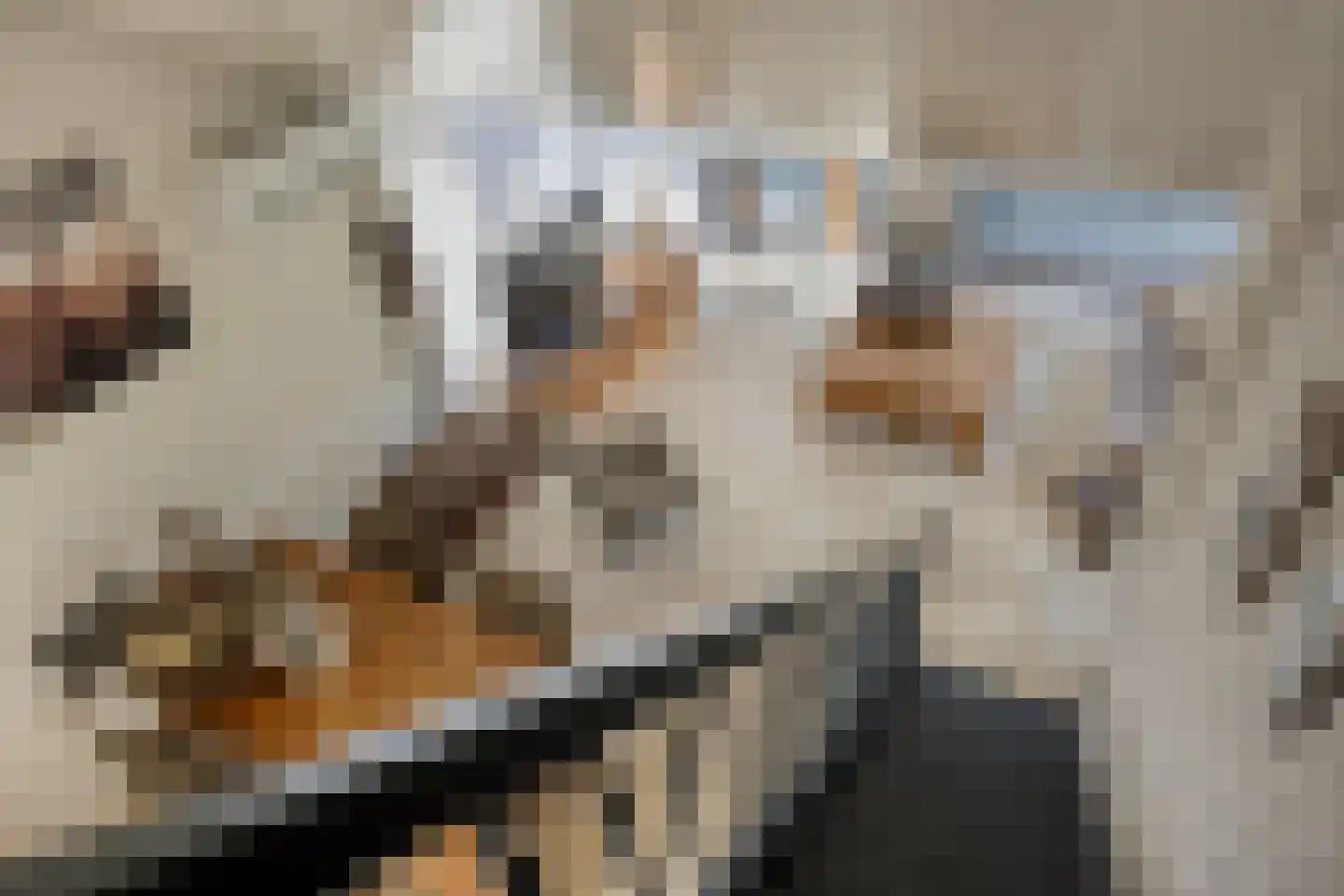 Reewoude 55 Herkenbosch thumbnail 23