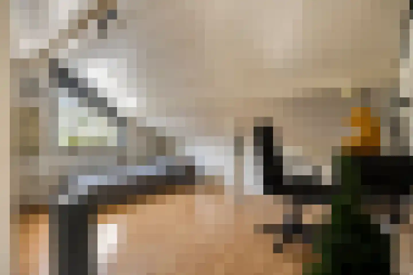 Reewoude 55 Herkenbosch thumbnail 24