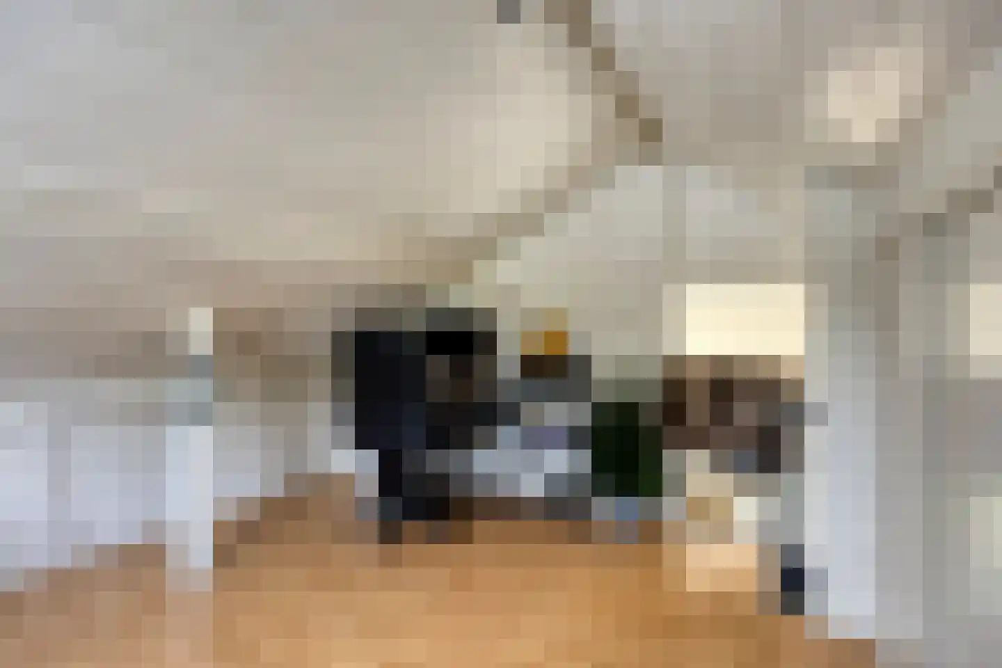 Reewoude 55 Herkenbosch thumbnail 25