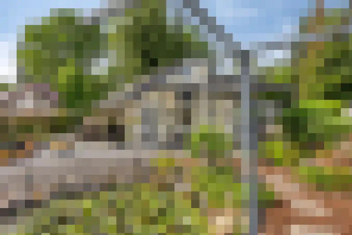 Reewoude 55 Herkenbosch thumbnail 27