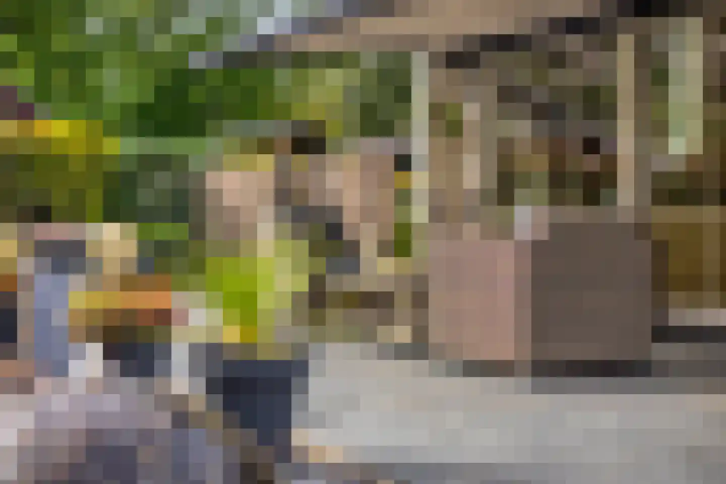 Reewoude 55 Herkenbosch thumbnail 29