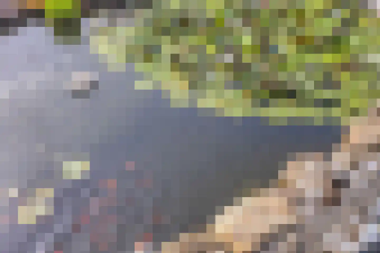 Reewoude 55 Herkenbosch thumbnail 30