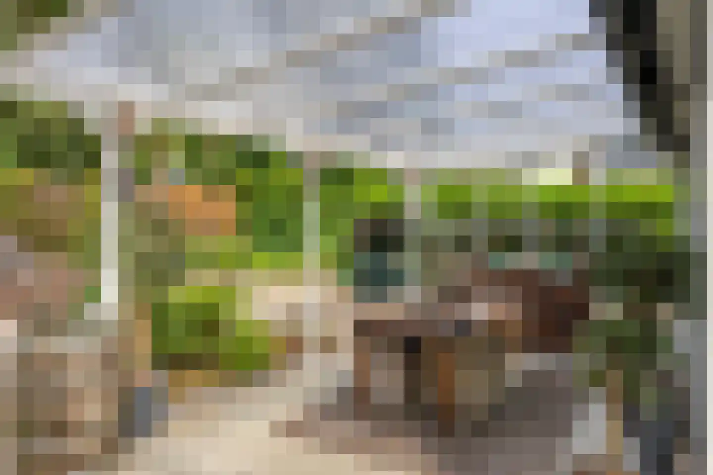 Reewoude 55 Herkenbosch thumbnail 31