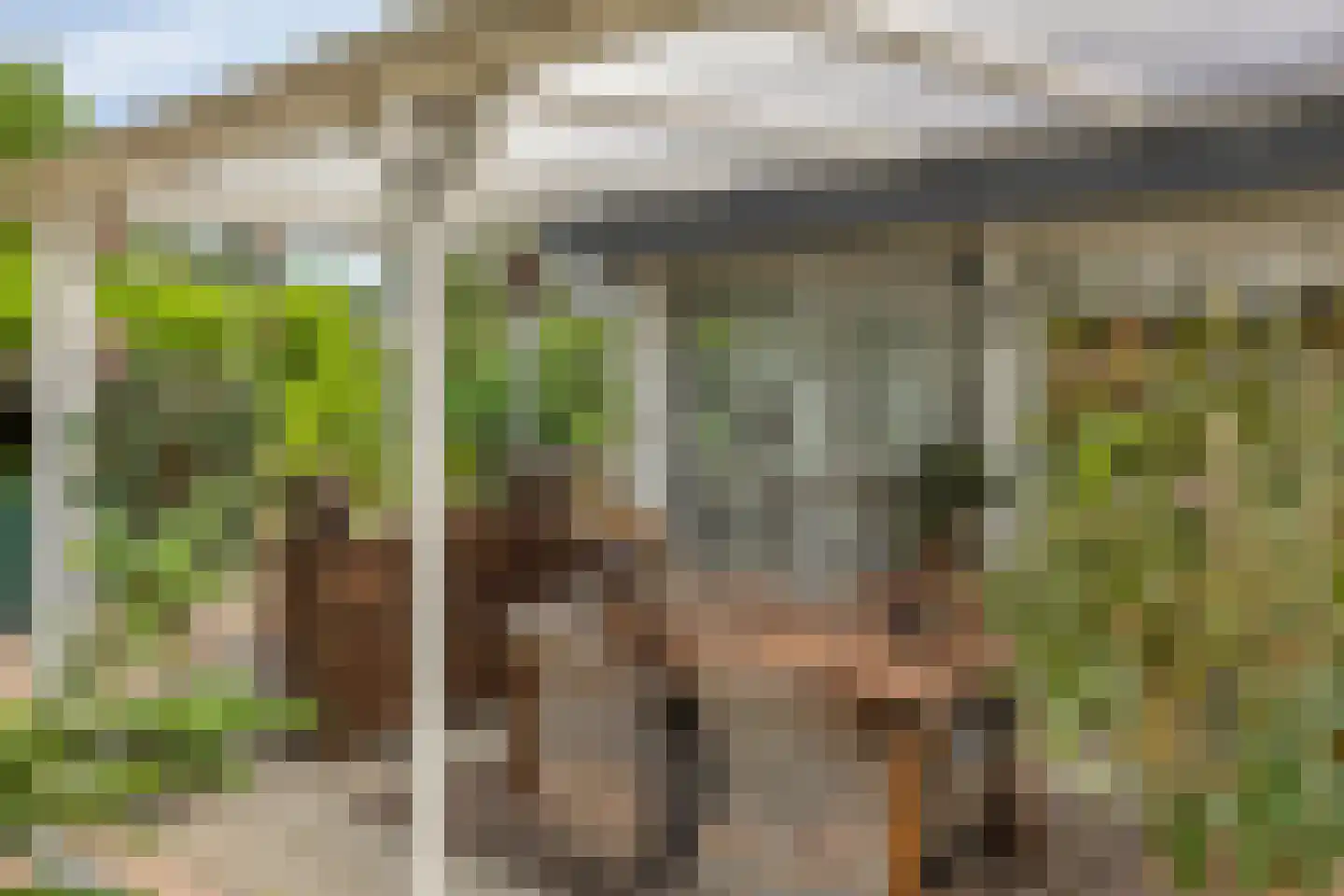 Reewoude 55 Herkenbosch thumbnail 32