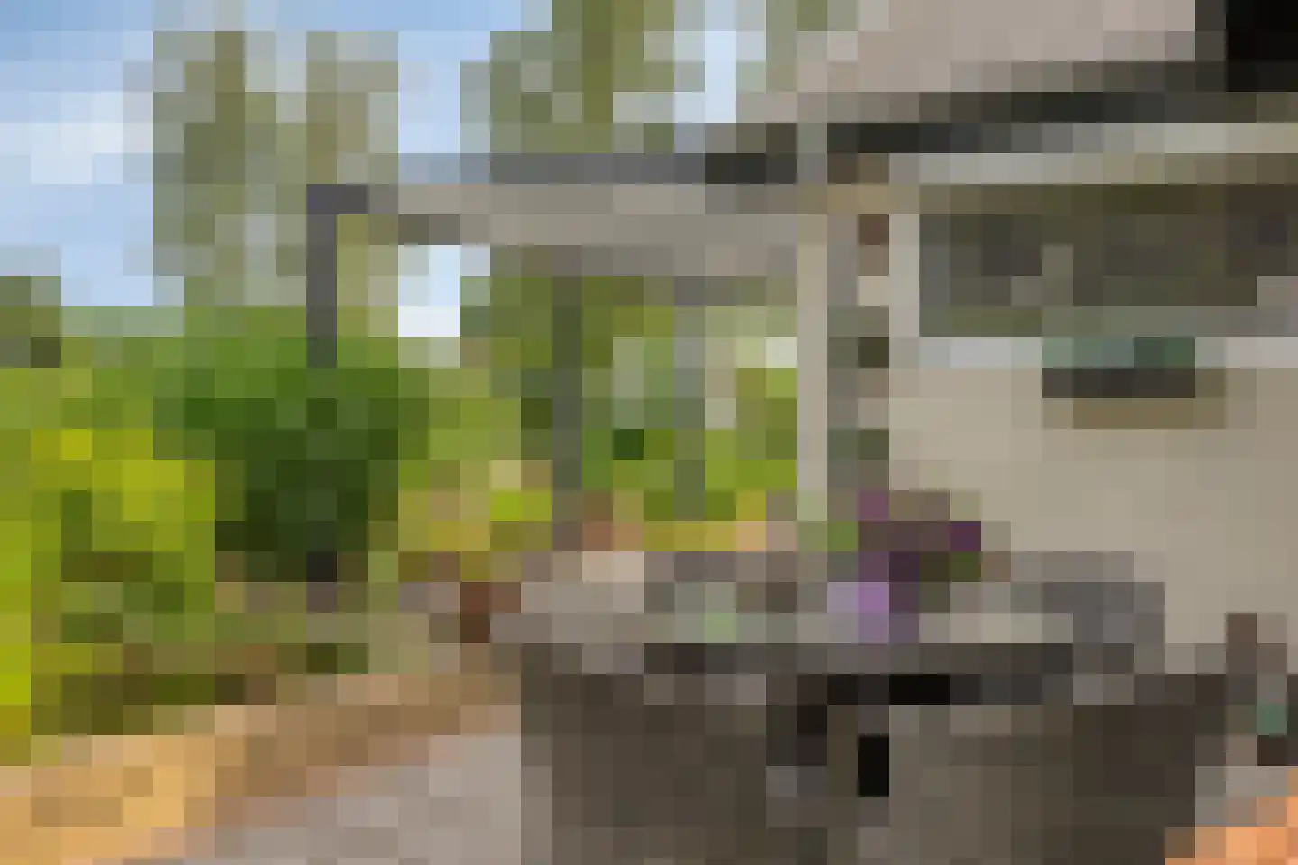 Reewoude 55 Herkenbosch thumbnail 34
