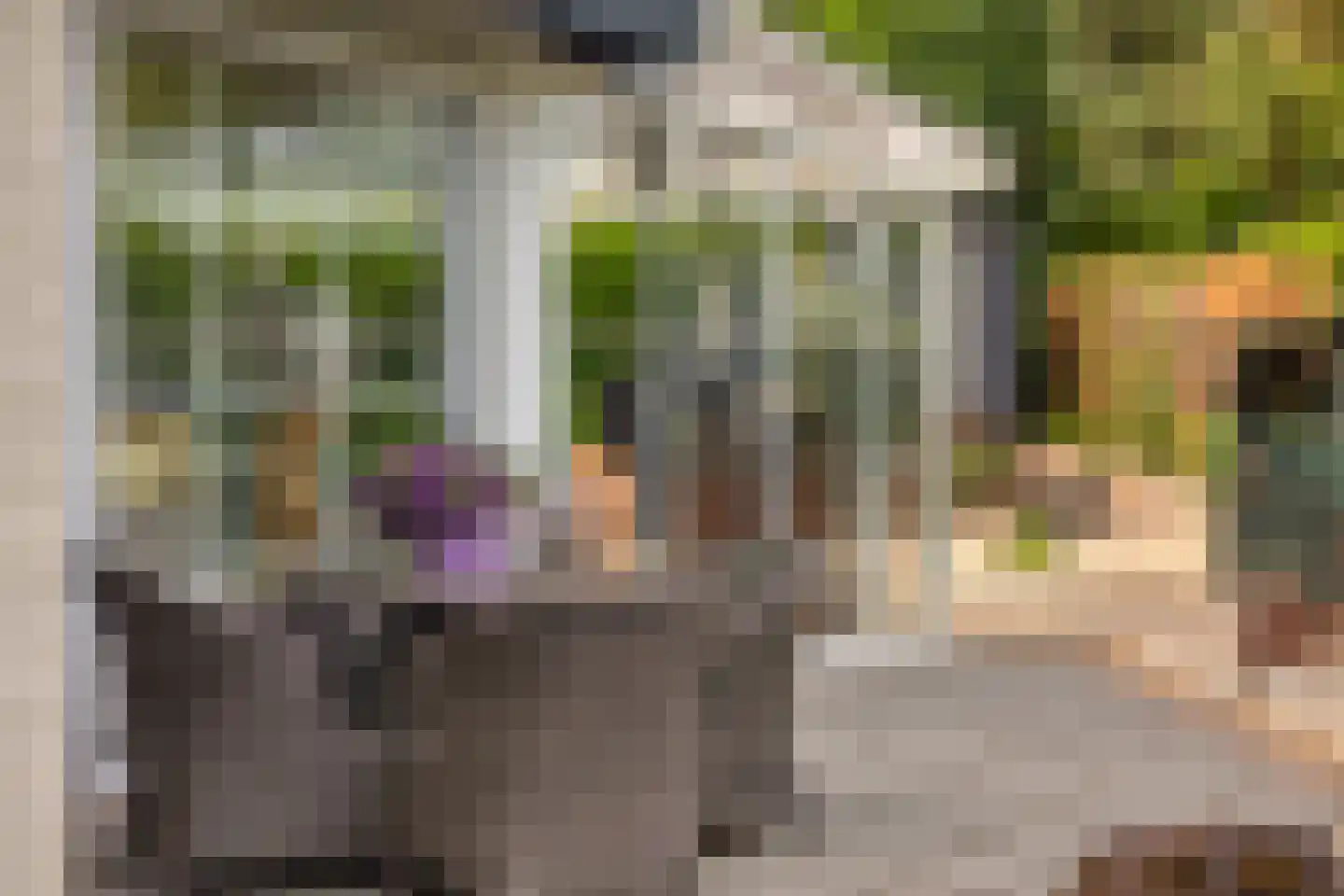 Reewoude 55 Herkenbosch thumbnail 35