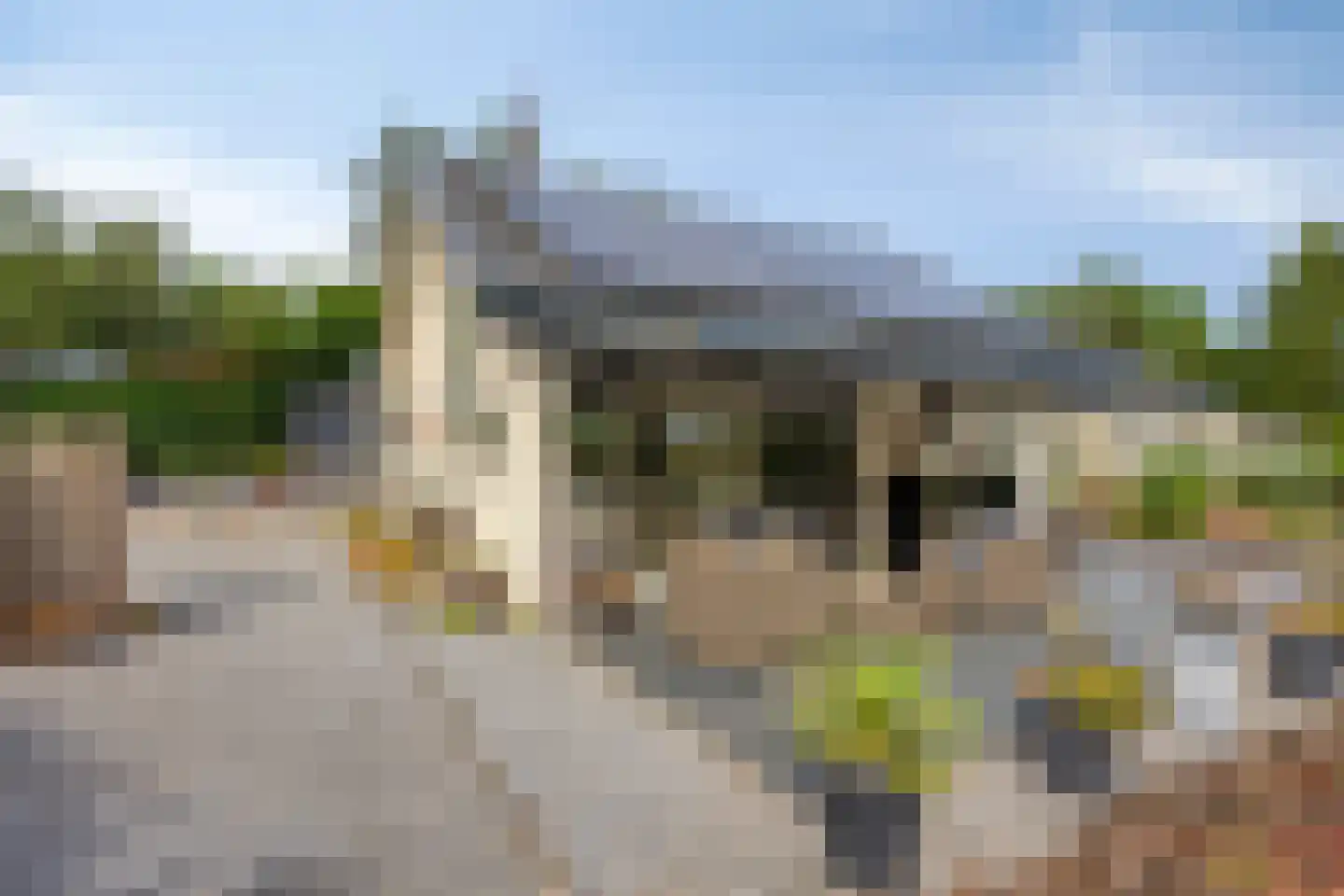 Reewoude 55 Herkenbosch thumbnail 38