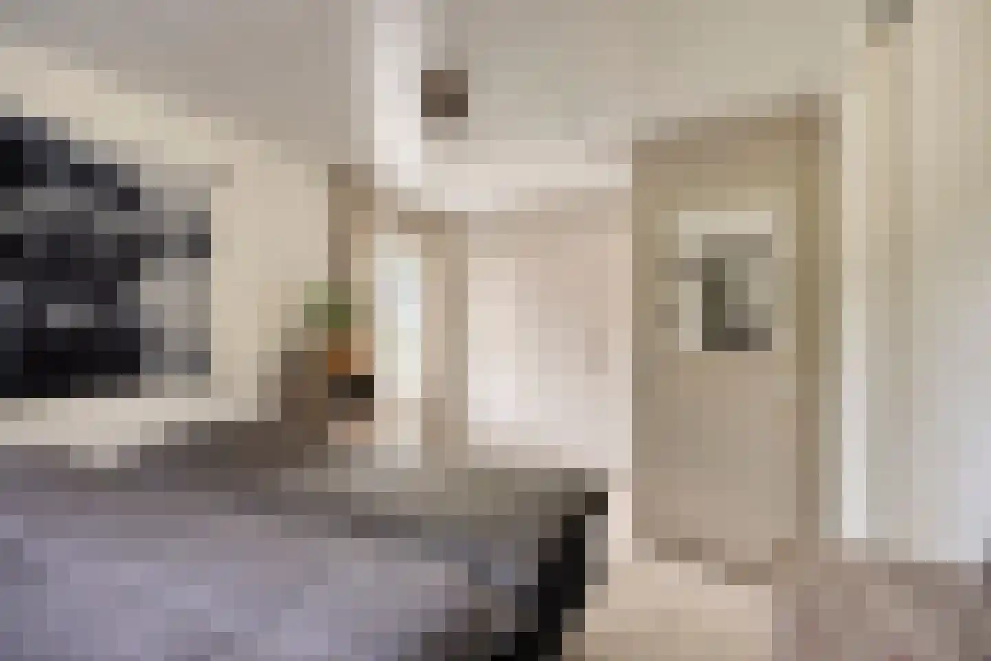 Reewoude 55 Herkenbosch thumbnail 4