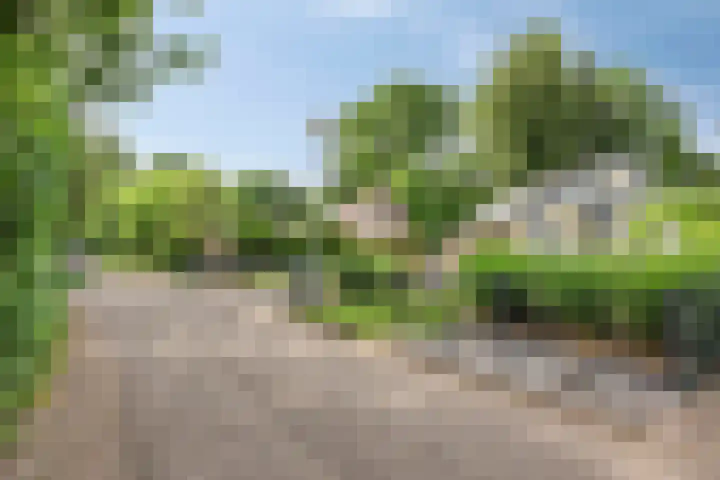 Reewoude 55 Herkenbosch thumbnail 40