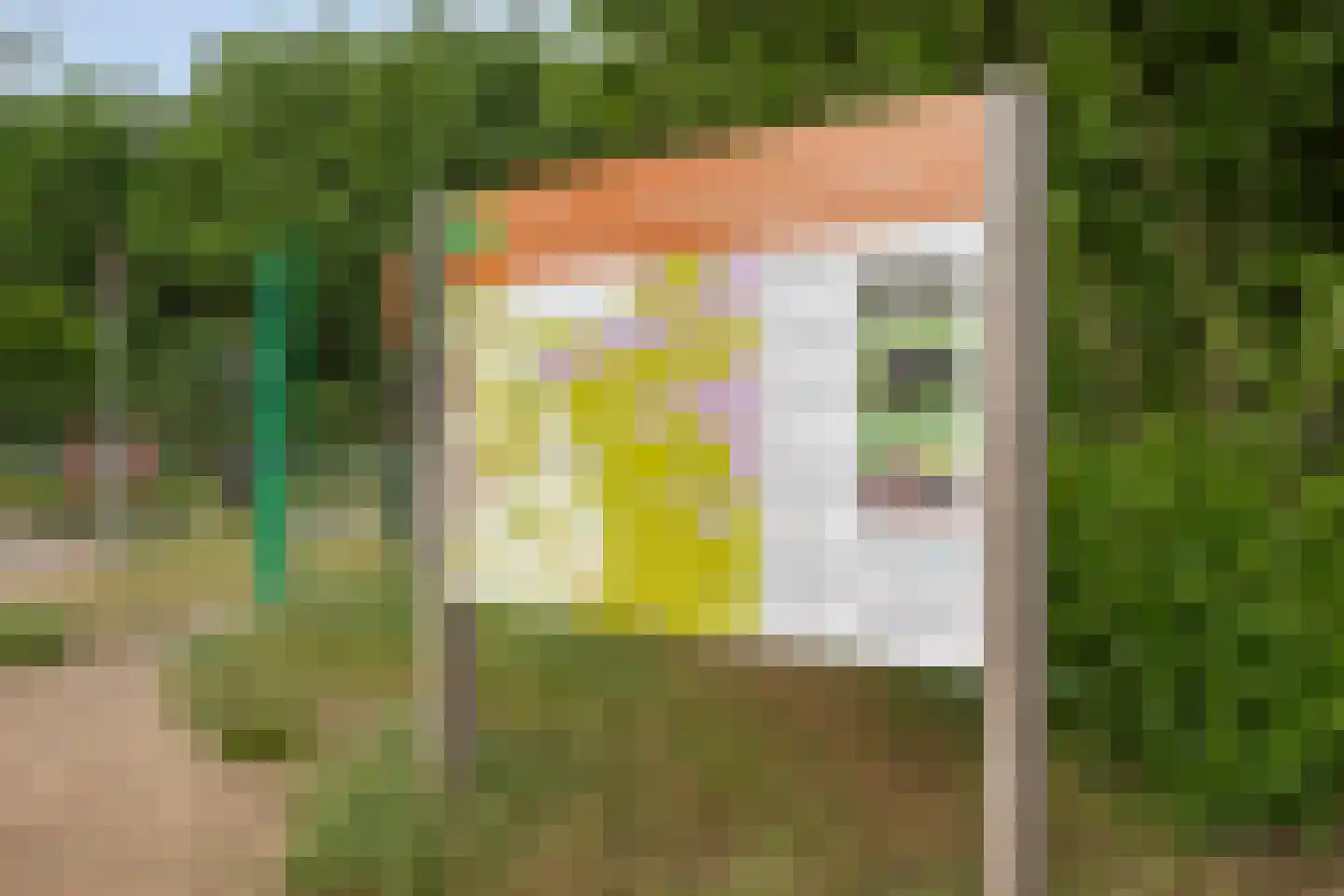 Reewoude 55 Herkenbosch thumbnail 42