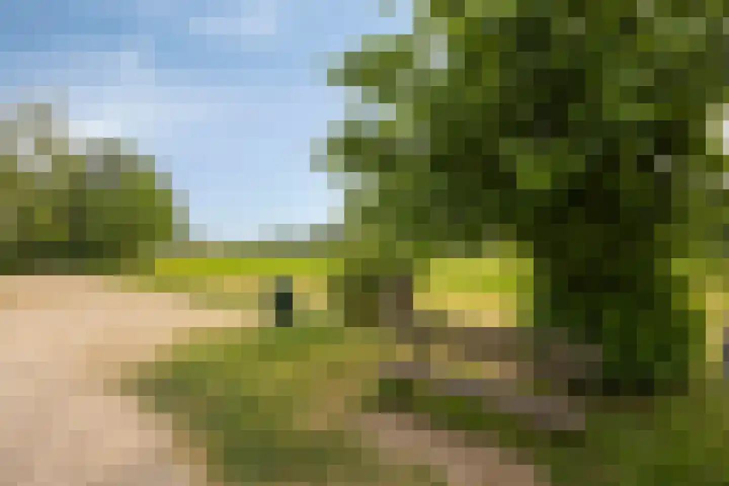 Reewoude 55 Herkenbosch thumbnail 43