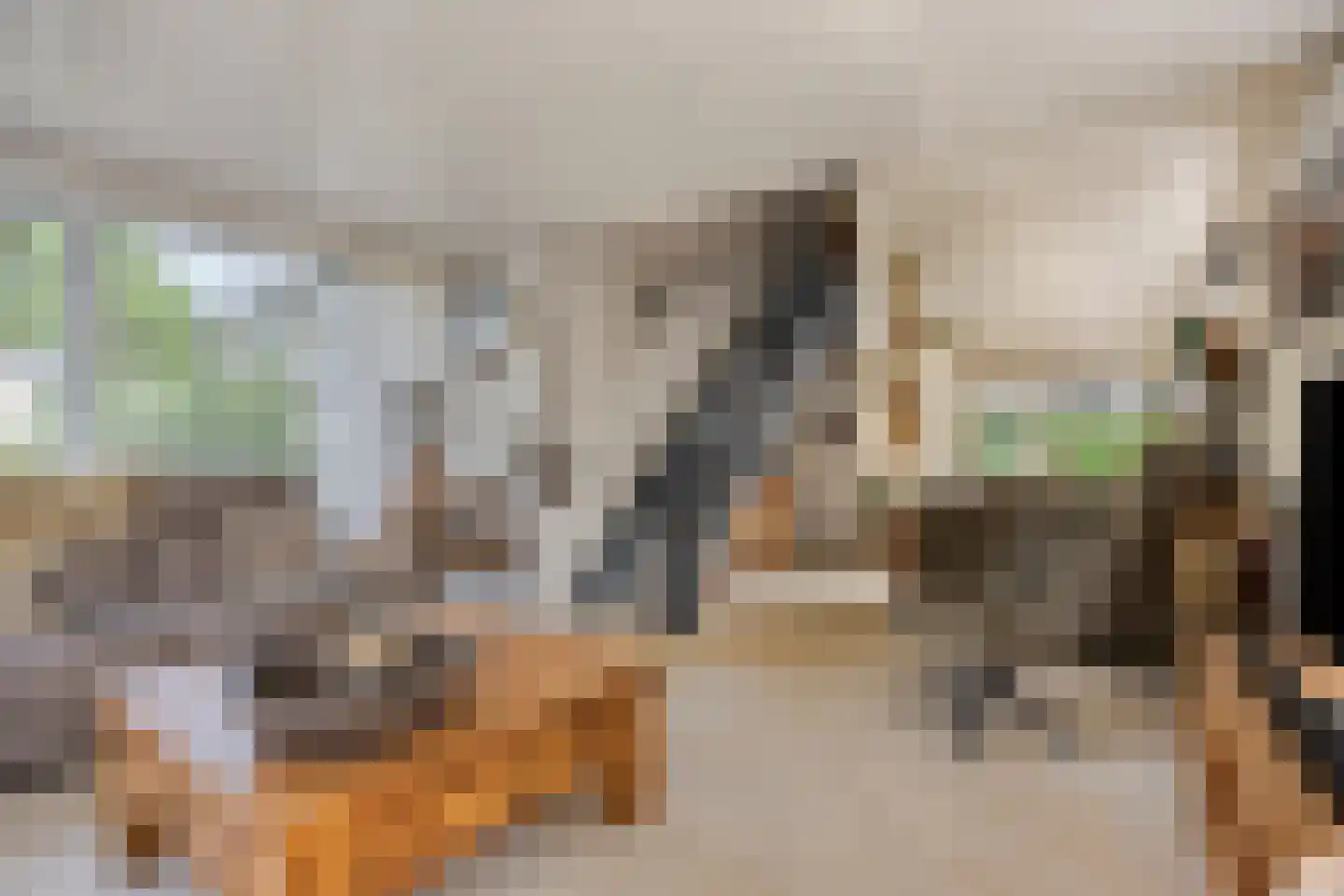 Reewoude 55 Herkenbosch thumbnail 7