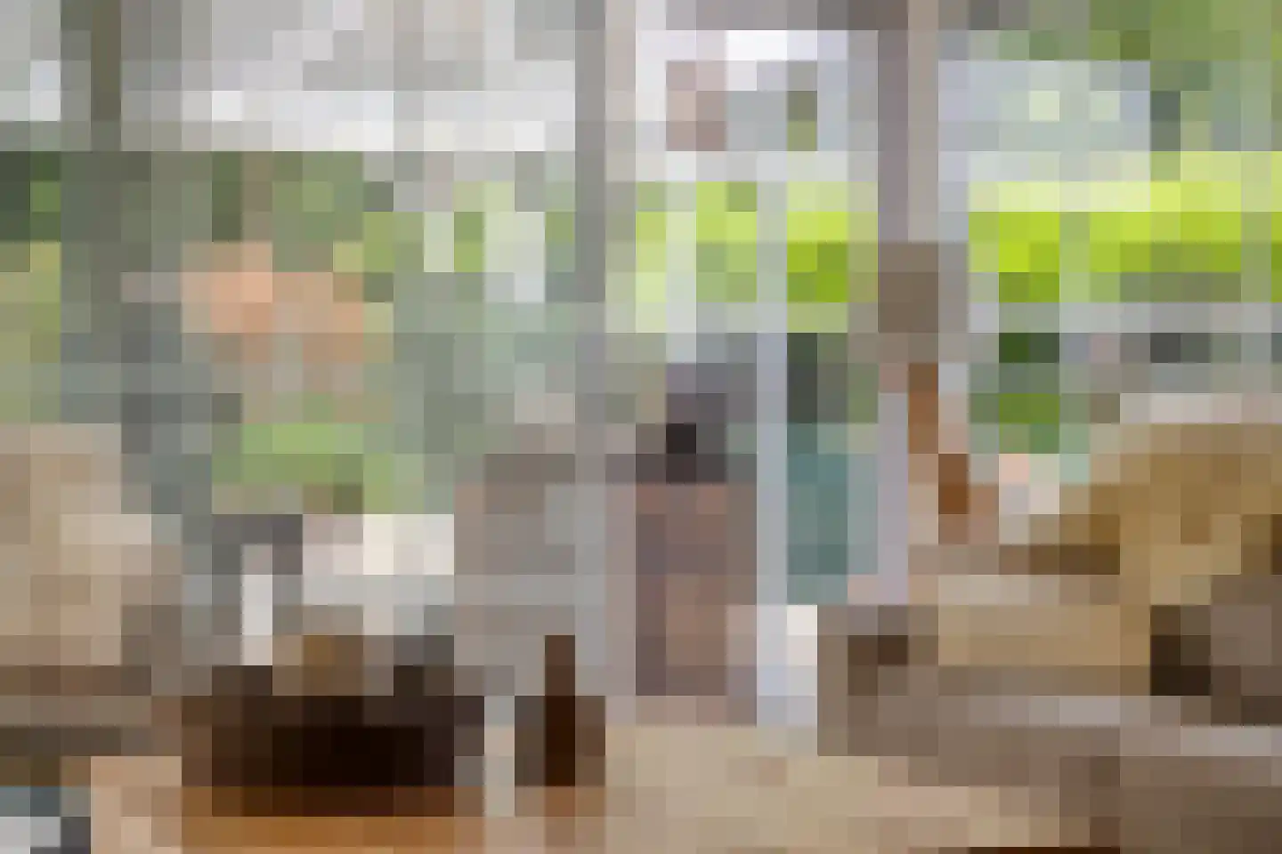 Reewoude 55 Herkenbosch thumbnail 8