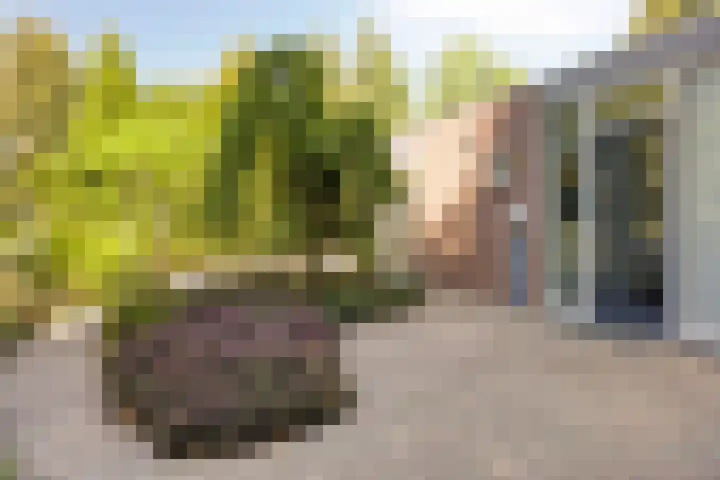 Reewoude 74 Herkenbosch thumbnail 10