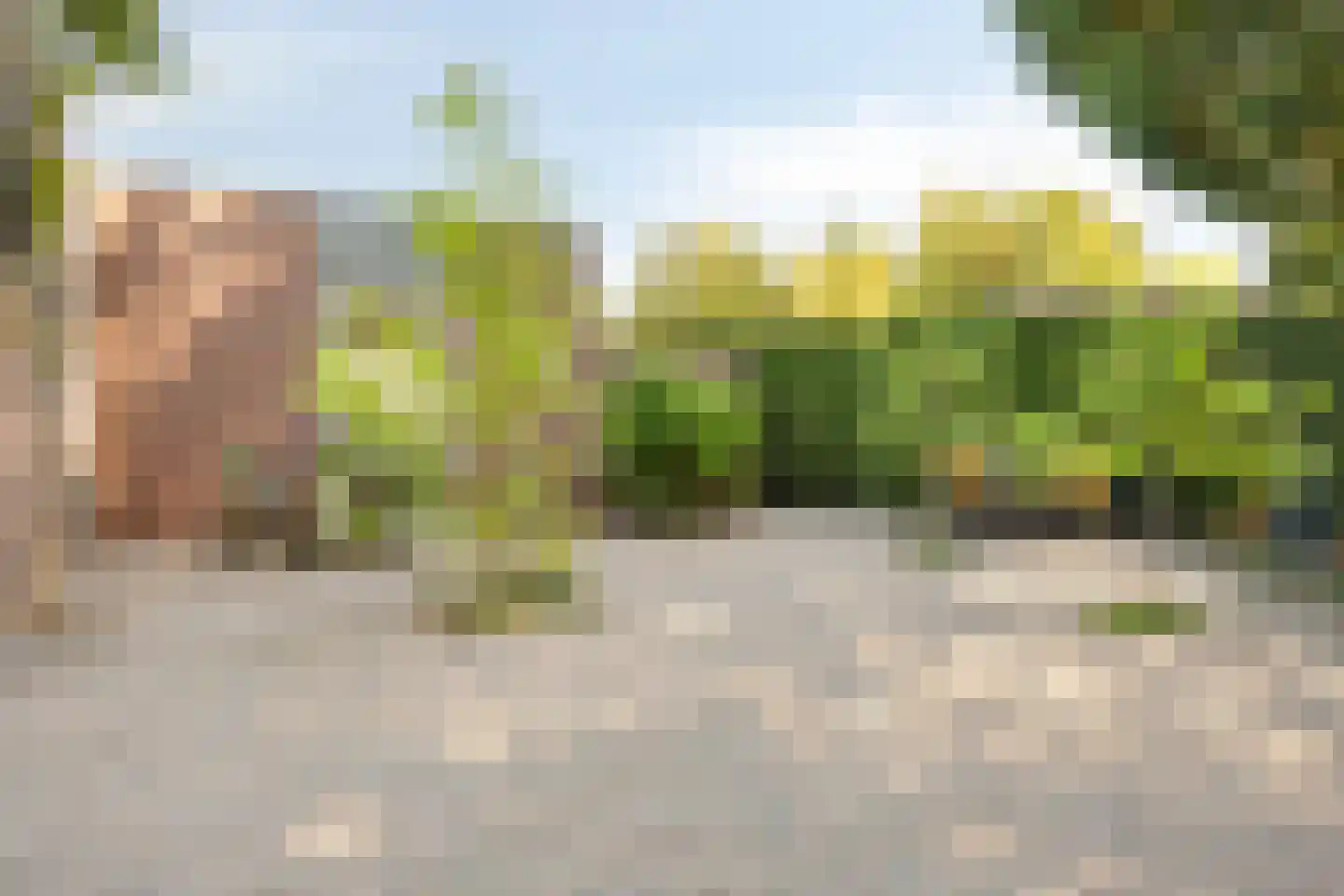 Reewoude 74 Herkenbosch thumbnail 11