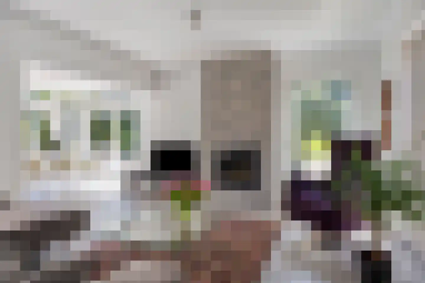 Reewoude 74 Herkenbosch thumbnail 16