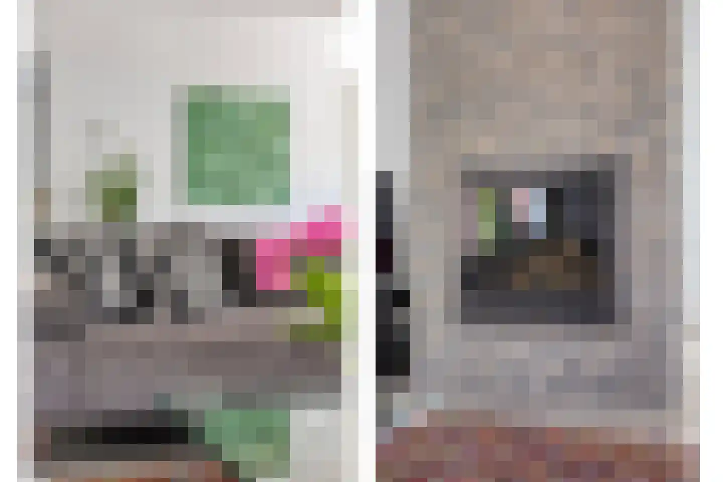 Reewoude 74 Herkenbosch thumbnail 18