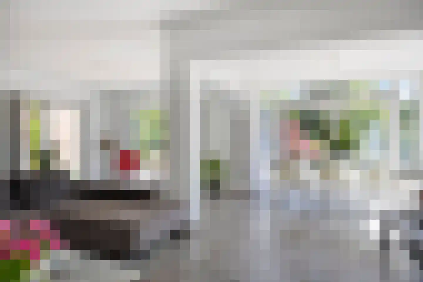 Reewoude 74 Herkenbosch thumbnail 20