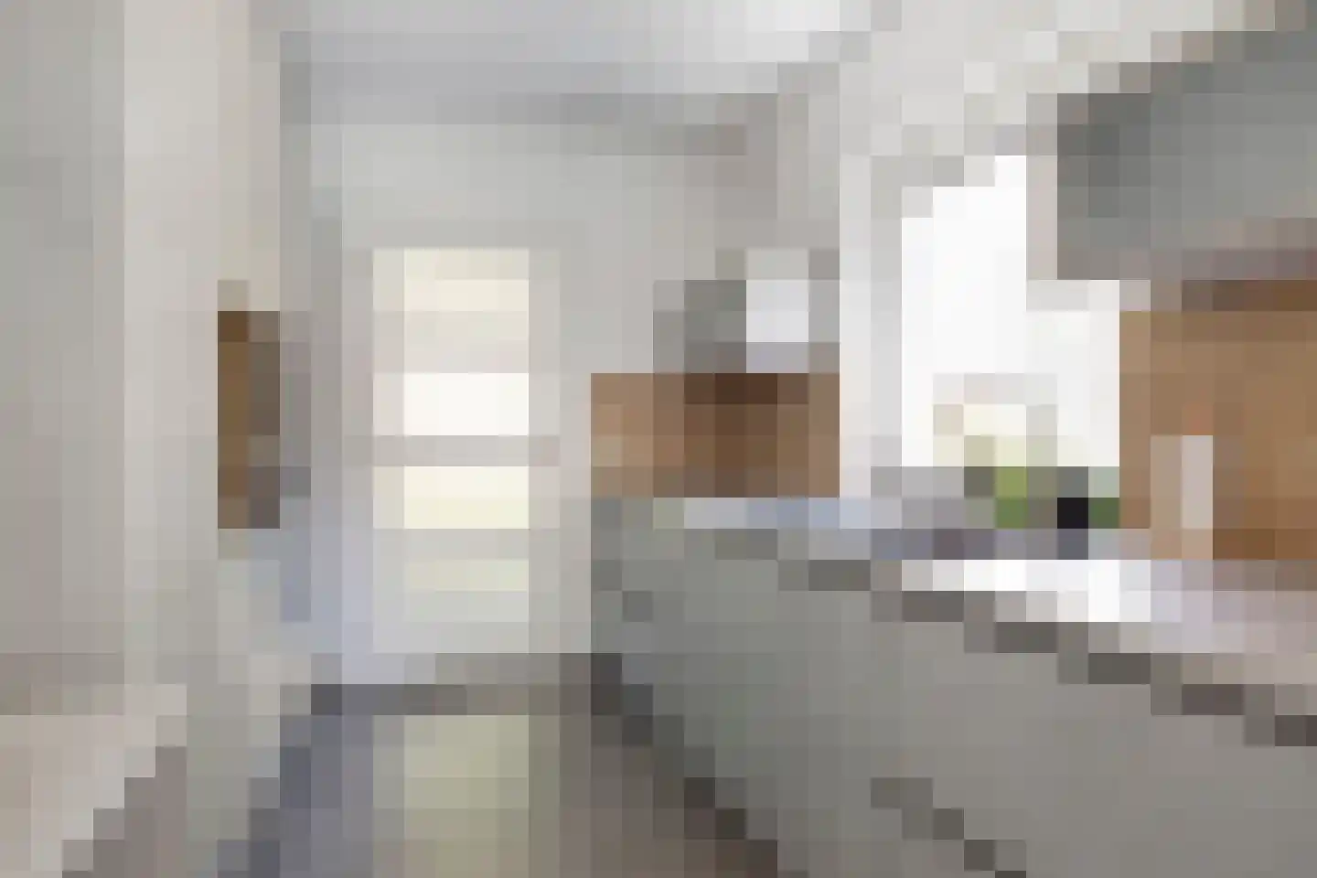 Reewoude 74 Herkenbosch thumbnail 24