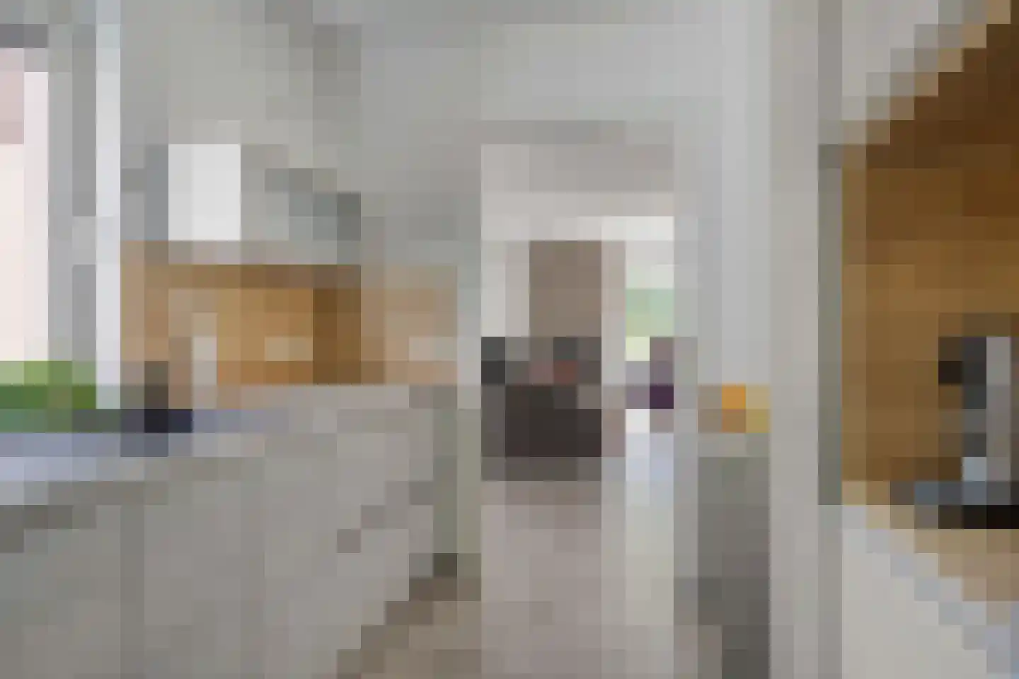 Reewoude 74 Herkenbosch thumbnail 25