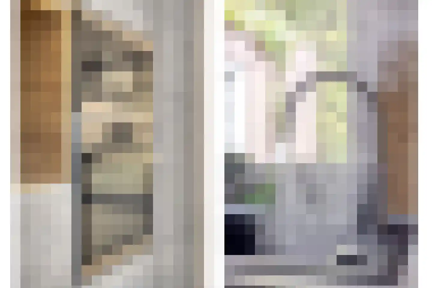 Reewoude 74 Herkenbosch thumbnail 27