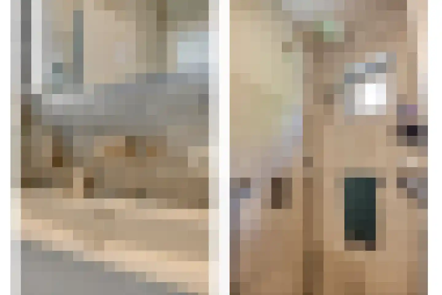 Reewoude 74 Herkenbosch thumbnail 36
