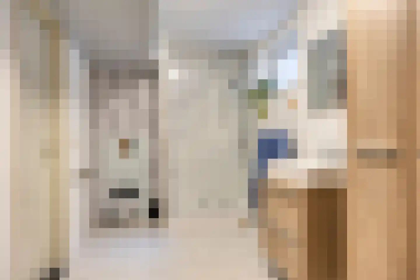 Reewoude 74 Herkenbosch thumbnail 44