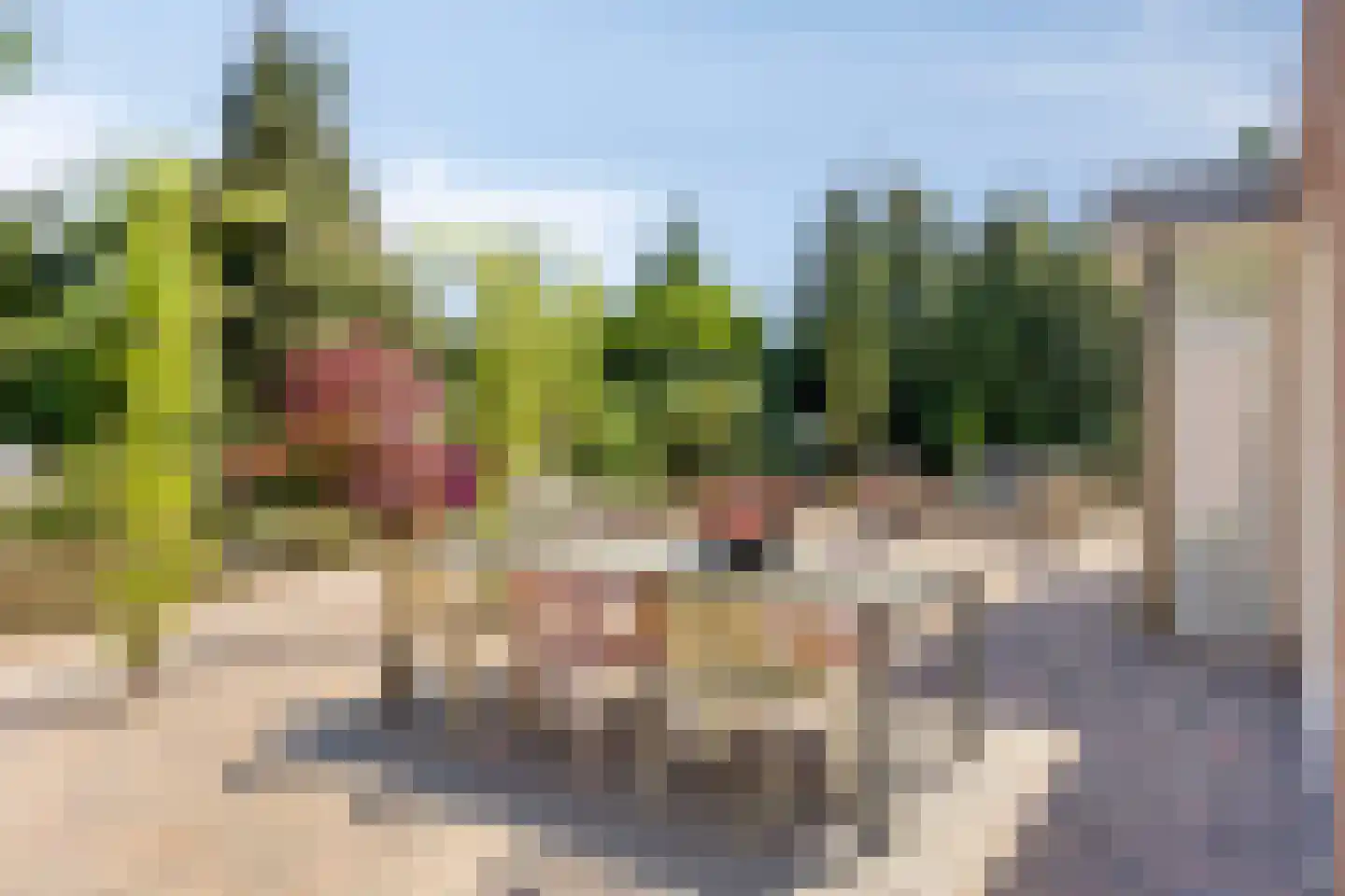 Reewoude 74 Herkenbosch thumbnail 5