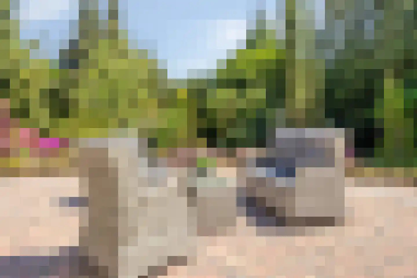 Reewoude 74 Herkenbosch thumbnail 54