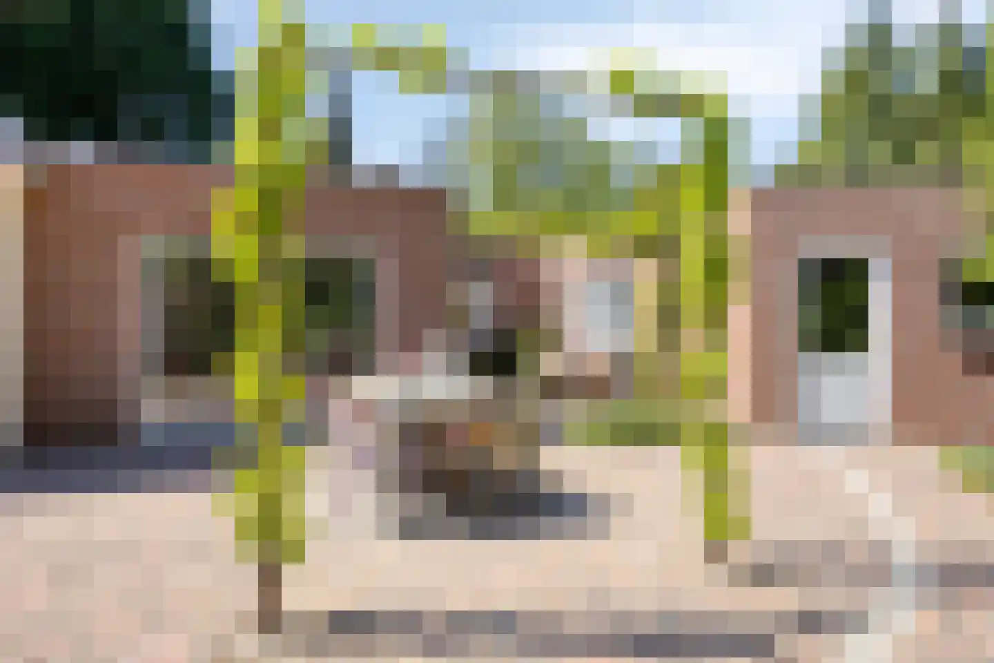 Reewoude 74 Herkenbosch thumbnail 55