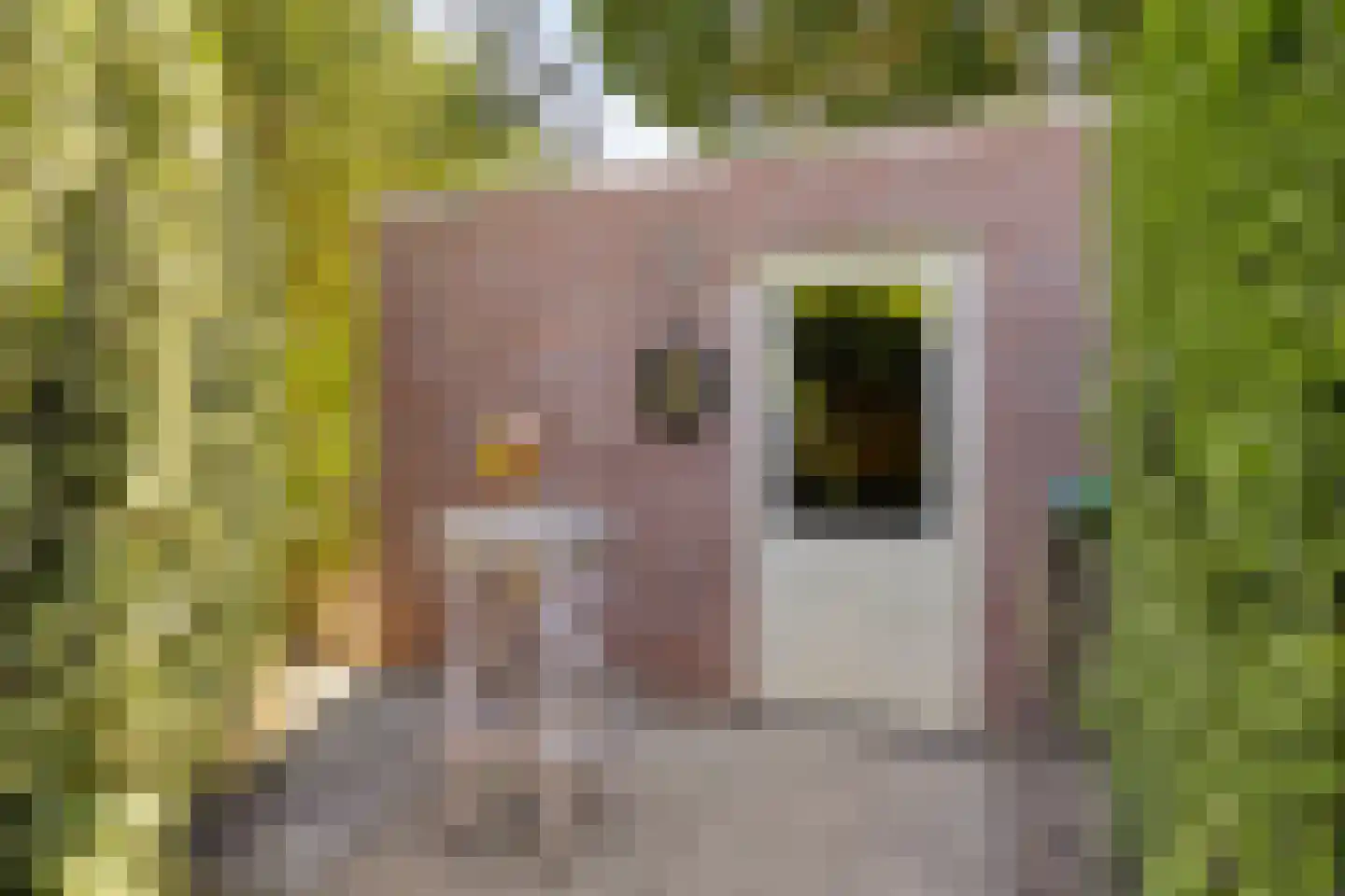 Reewoude 74 Herkenbosch thumbnail 57