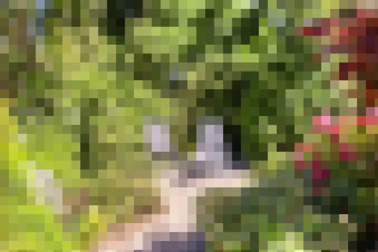 Reewoude 74 Herkenbosch thumbnail 60