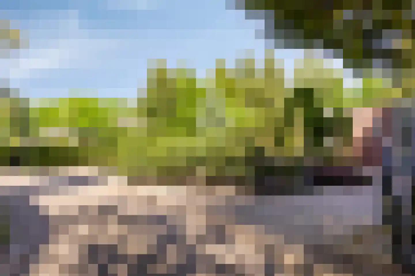 Reewoude 74 Herkenbosch thumbnail 61