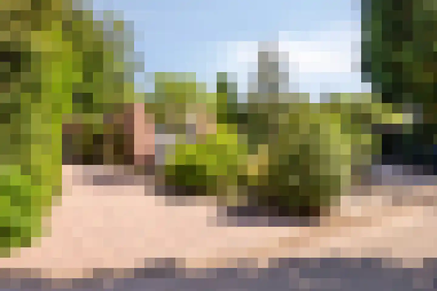 Reewoude 74 Herkenbosch thumbnail 62