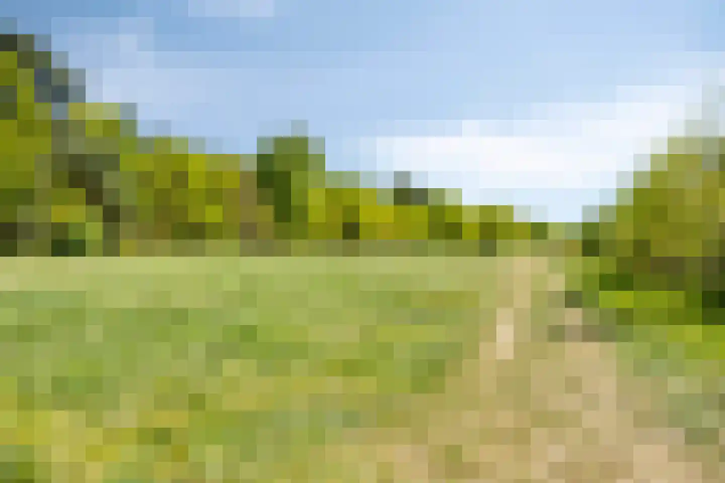 Reewoude 74 Herkenbosch thumbnail 65