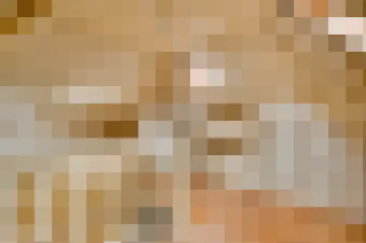 Reewoude 77 Herkenbosch thumbnail 10
