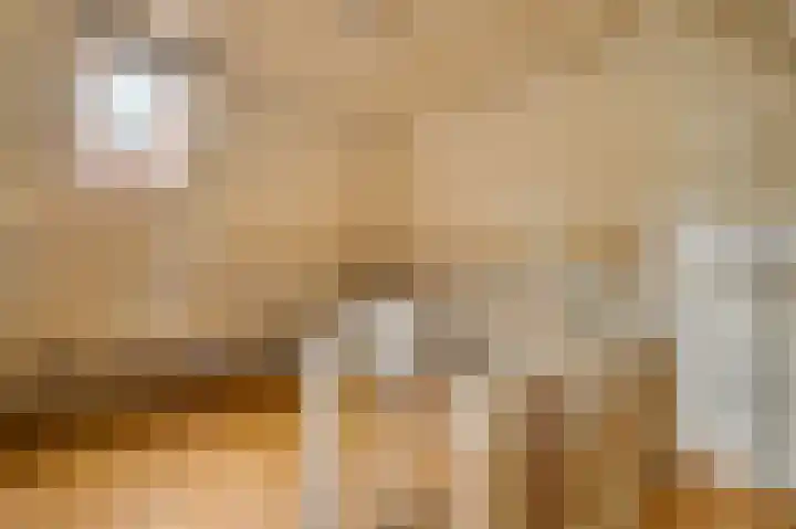 Reewoude 77 Herkenbosch thumbnail 11