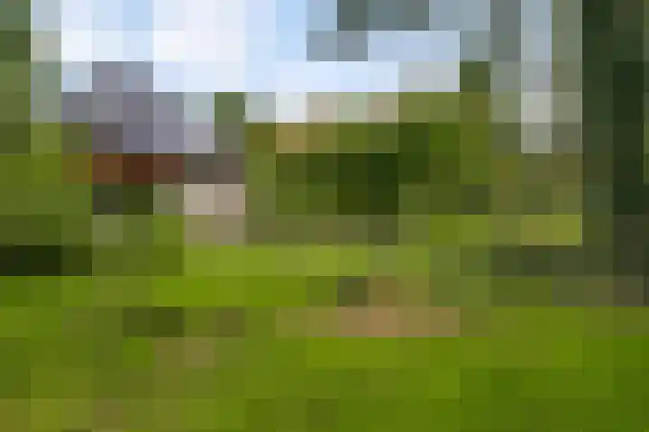 Reewoude 77 Herkenbosch thumbnail 12