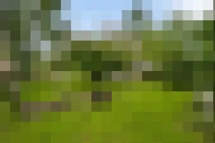 Reewoude 77 Herkenbosch thumbnail 13