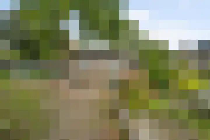 Reewoude 77 Herkenbosch thumbnail 14