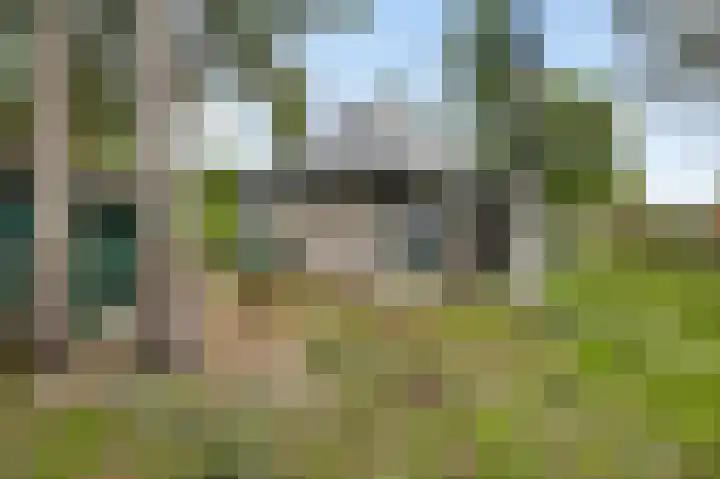 Reewoude 77 Herkenbosch thumbnail 15