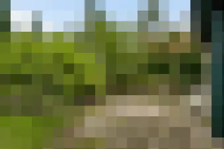 Reewoude 77 Herkenbosch thumbnail 4