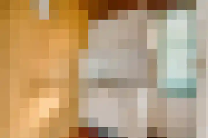 Reewoude 77 Herkenbosch thumbnail 7