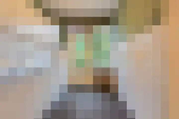 Refeling 28 Nuenen thumbnail 12